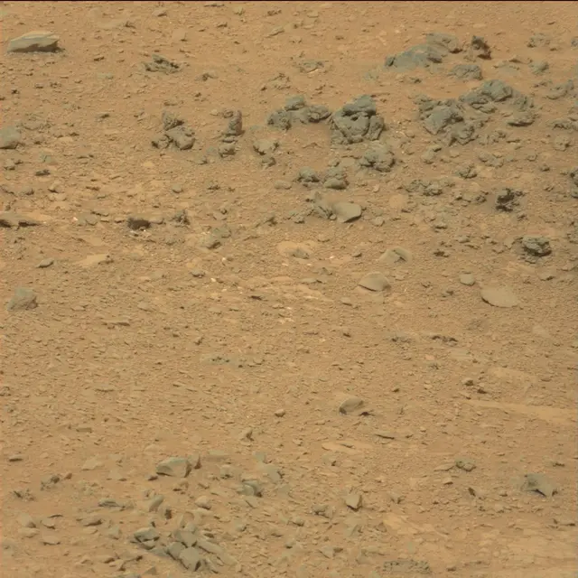 Sol 111: Mast Camera (Mastcam)