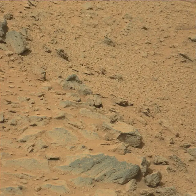 Sol 111: Mast Camera (Mastcam)