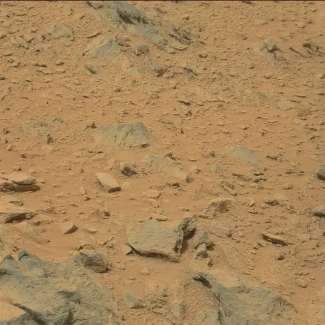 Sol 111: Mast Camera (Mastcam)