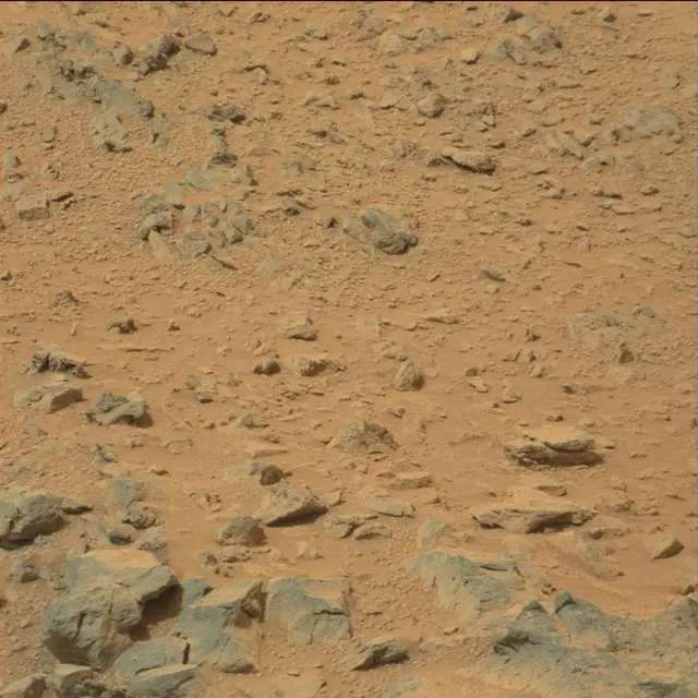 Sol 111: Mast Camera (Mastcam)