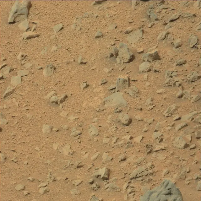 Sol 111: Mast Camera (Mastcam)