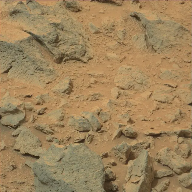 Sol 111: Mast Camera (Mastcam)