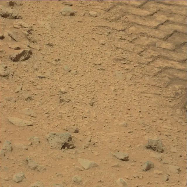 Sol 111: Mast Camera (Mastcam)