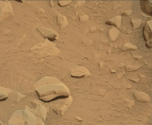 Sol 112: Mast Camera (Mastcam)