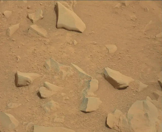 Sol 112: Mast Camera (Mastcam)