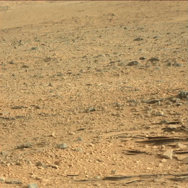 Sol 113: Mast Camera (Mastcam)