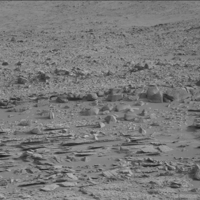 Sol 113: Mast Camera (Mastcam)