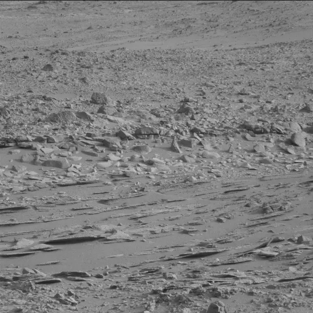 Sol 113: Mast Camera (Mastcam)