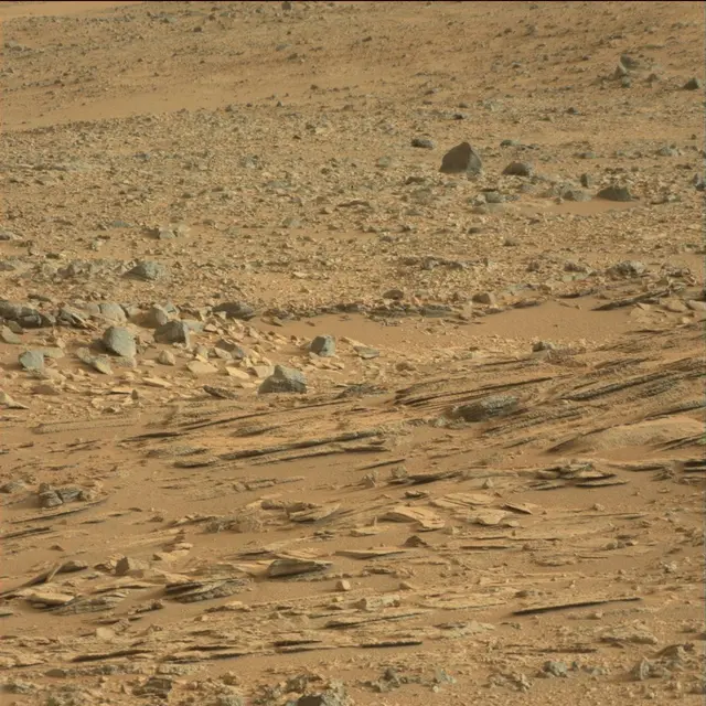 Sol 113: Mast Camera (Mastcam)