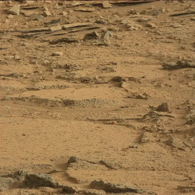 Sol 113: Mast Camera (Mastcam)
