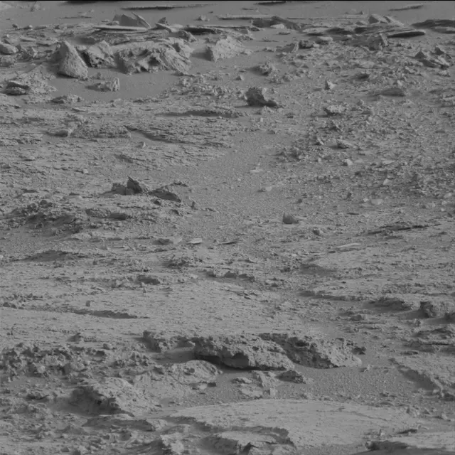 Sol 113: Mast Camera (Mastcam)