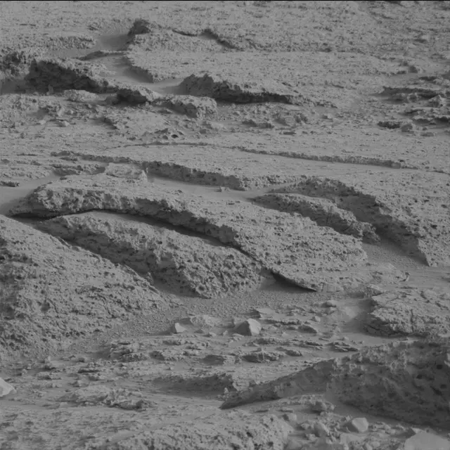 Sol 113: Mast Camera (Mastcam)