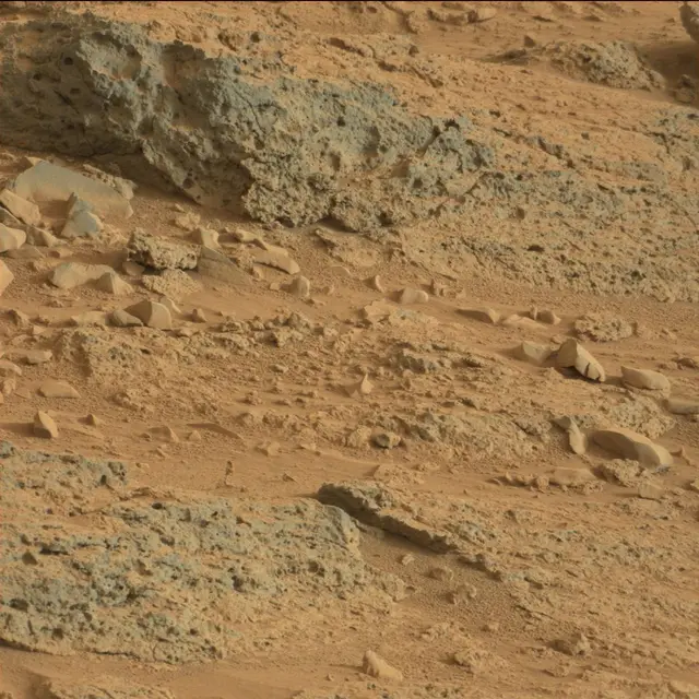 Sol 113: Mast Camera (Mastcam)