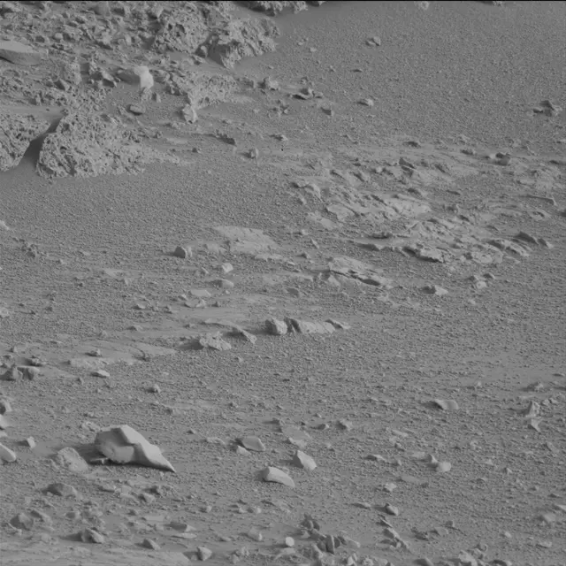Sol 113: Mast Camera (Mastcam)
