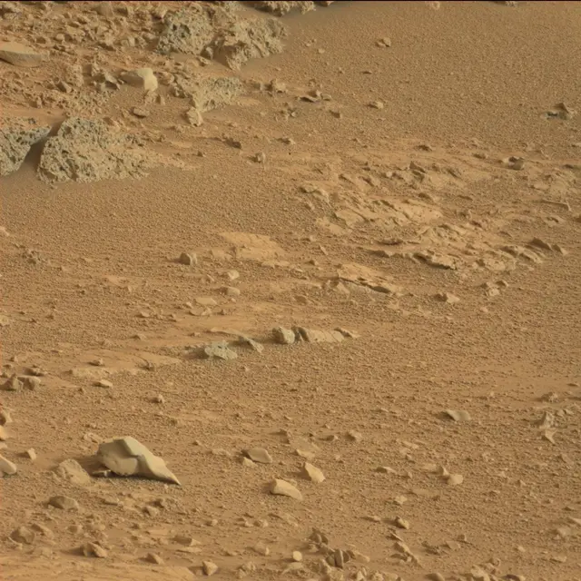 Sol 113: Mast Camera (Mastcam)