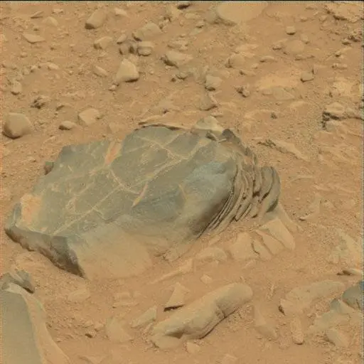 Sol 114: Mast Camera (Mastcam)