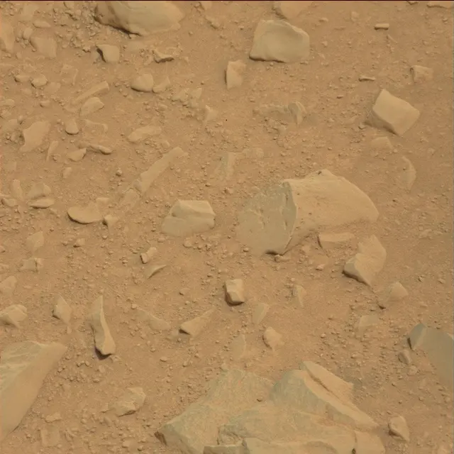 Sol 114: Mast Camera (Mastcam)