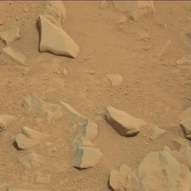 Sol 114: Mast Camera (Mastcam)