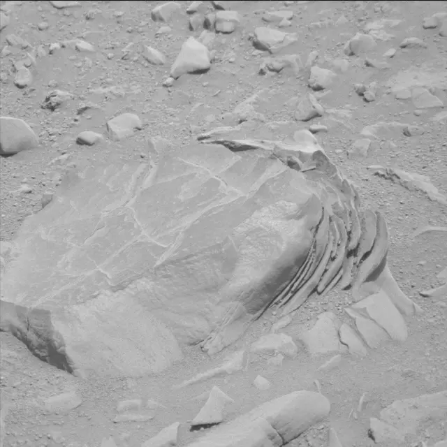 Sol 114: Mast Camera (Mastcam)