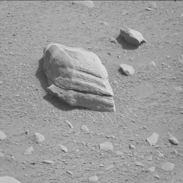 Sol 116: Mast Camera (Mastcam)