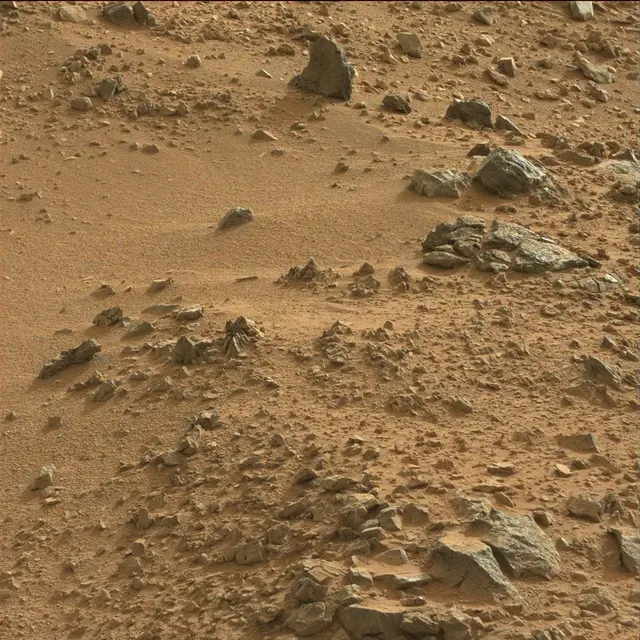 Sol 118: Mast Camera (Mastcam)