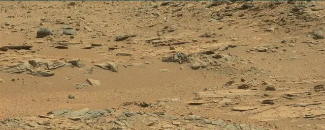 Sol 120: Mast Camera (Mastcam)