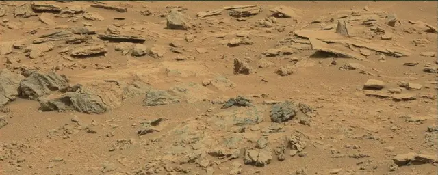 Sol 120: Mast Camera (Mastcam)