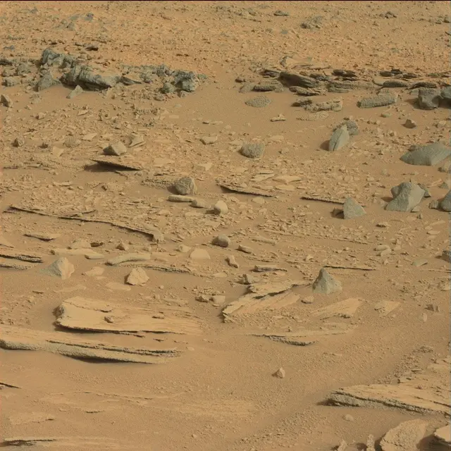 Sol 120: Mast Camera (Mastcam)