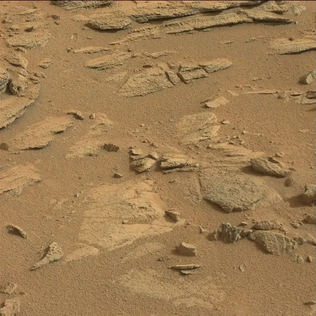 Sol 120: Mast Camera (Mastcam)