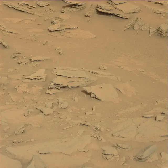 Sol 120: Mast Camera (Mastcam)