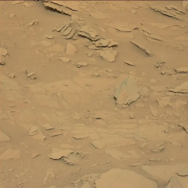 Sol 120: Mast Camera (Mastcam)
