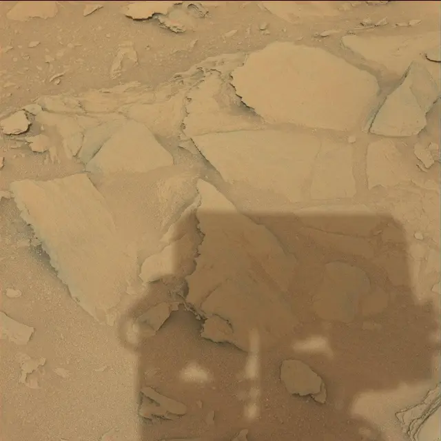 Sol 120: Mast Camera (Mastcam)
