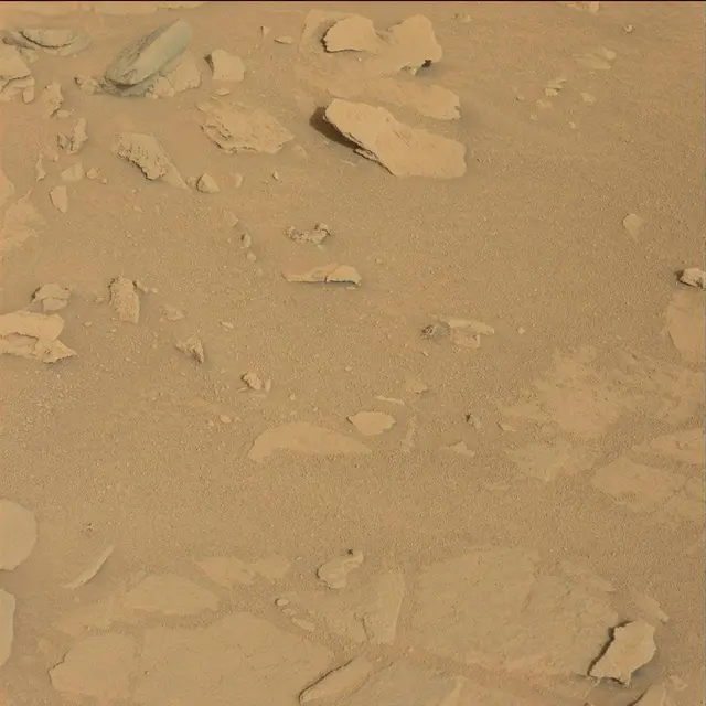 Sol 120: Mast Camera (Mastcam)