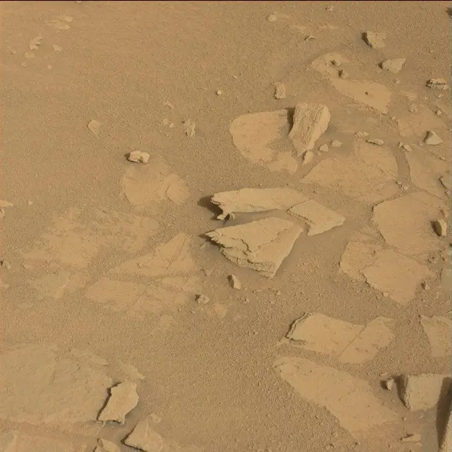 Sol 120: Mast Camera (Mastcam)