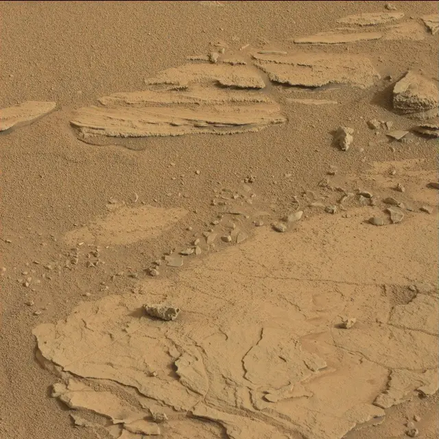 Sol 120: Mast Camera (Mastcam)