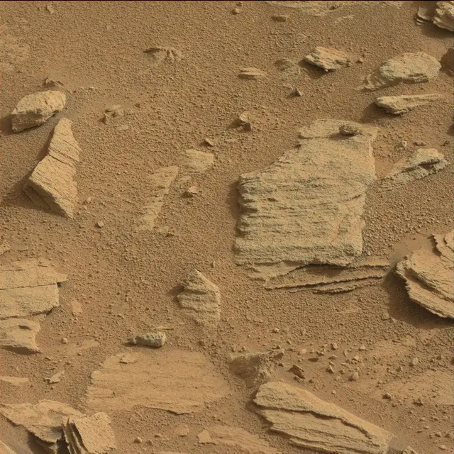 Sol 120: Mast Camera (Mastcam)