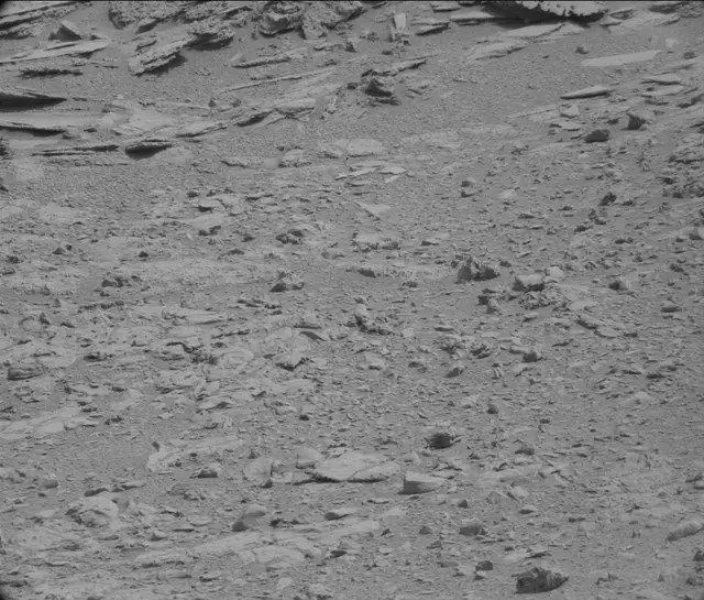 Sol 120: Mast Camera (Mastcam)