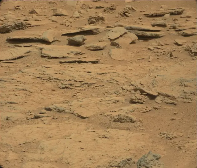 Sol 120: Mast Camera (Mastcam)