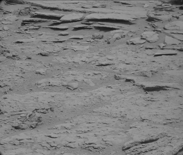 Sol 120: Mast Camera (Mastcam)