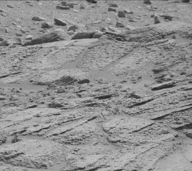 Sol 121: Mast Camera (Mastcam)