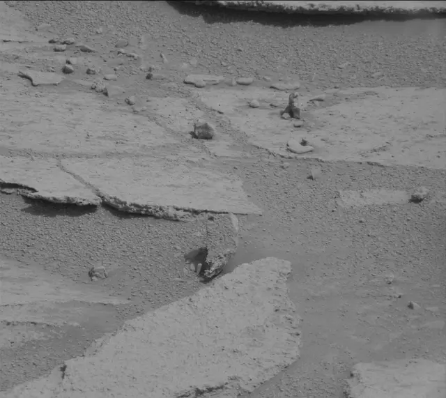 Sol 121: Mast Camera (Mastcam)