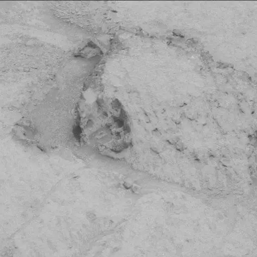 Sol 122: Mast Camera (Mastcam)