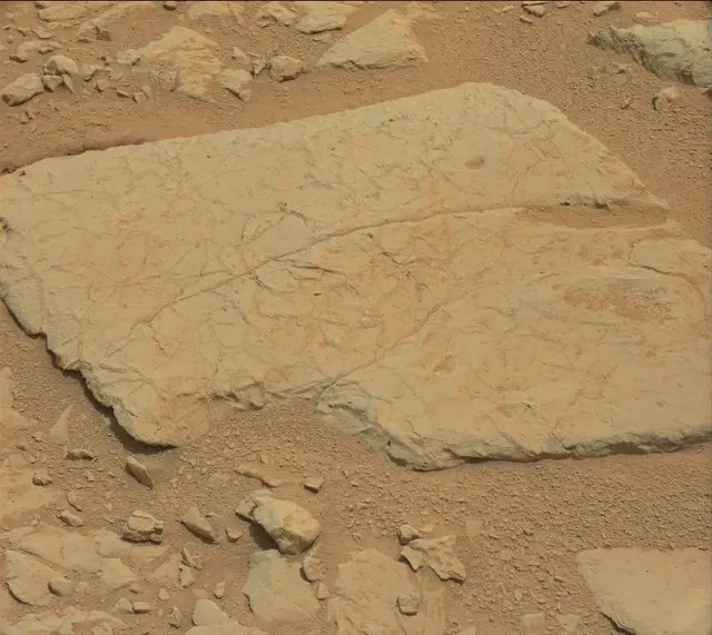 Sol 125: Mast Camera (Mastcam)