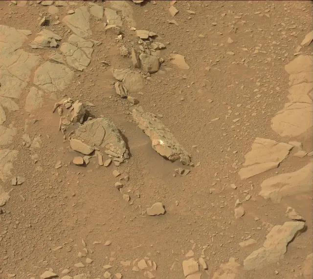 Sol 135: Mast Camera (Mastcam)