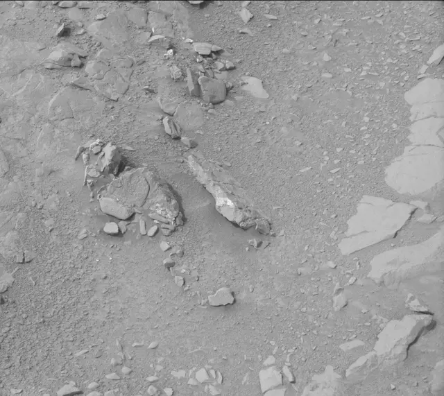Sol 135: Mast Camera (Mastcam)