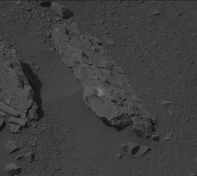Sol 135: Mast Camera (Mastcam)