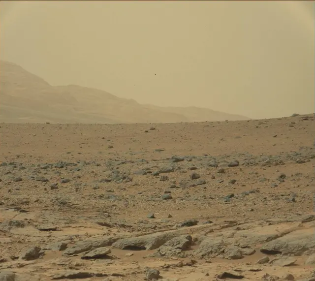 Sol 136: Mast Camera (Mastcam)