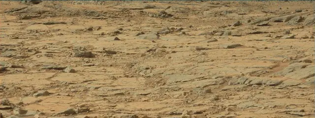 Sol 137: Mast Camera (Mastcam)