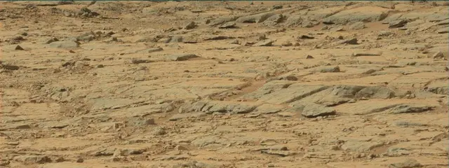 Sol 137: Mast Camera (Mastcam)