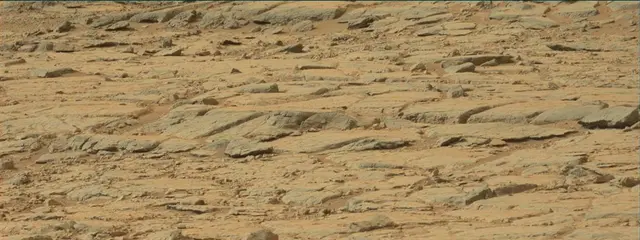 Sol 137: Mast Camera (Mastcam)